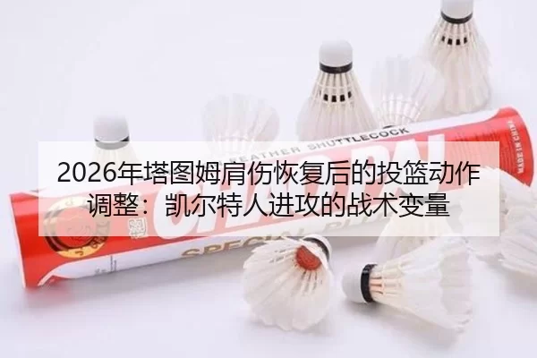 nian-ta-tu-mu-jian-shang-hui-fu-hou-de-tou-lan-dong-zuo-tiao-zheng-kai-er-te-ren-jin-gong-de-zhan-shu-bian-liang-1-176.jpg